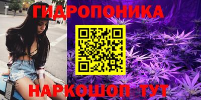 молекула духа Донской