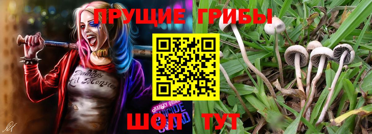 Галлюциногенные грибы MAGIC MUSHROOMS Новокуйбышевск